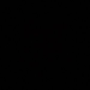 Meet your Posher, Isabella